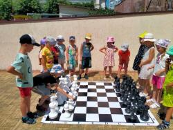 Удивительный мир шахмат